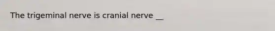 The trigeminal nerve is cranial nerve __