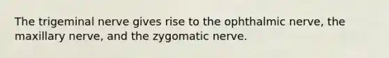 The trigeminal nerve gives rise to the ophthalmic nerve, the maxillary nerve, and the zygomatic nerve.