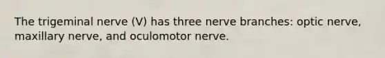 The trigeminal nerve (V) has three nerve branches: optic nerve, maxillary nerve, and oculomotor nerve.