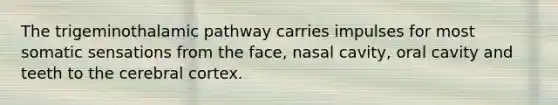 The trigeminothalamic pathway carries impulses for most somatic sensations from the face, nasal cavity, oral cavity and teeth to the cerebral cortex.