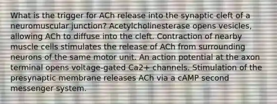 What is the trigger for ACh release into the synaptic cleft of a neuromuscular junction? Acetylcholinesterase opens vesicles, allowing ACh to diffuse into the cleft. Contraction of nearby muscle cells stimulates the release of ACh from surrounding neurons of the same motor unit. An action potential at the axon terminal opens voltage-gated Ca2+ channels. Stimulation of the presynaptic membrane releases ACh via a cAMP second messenger system.