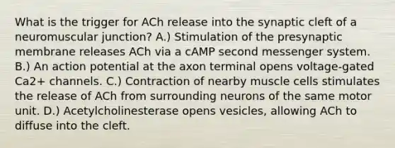 What is the trigger for ACh release into the synaptic cleft of a neuromuscular junction? A.) Stimulation of the presynaptic membrane releases ACh via a cAMP second messenger system. B.) An action potential at the axon terminal opens voltage-gated Ca2+ channels. C.) Contraction of nearby muscle cells stimulates the release of ACh from surrounding neurons of the same motor unit. D.) Acetylcholinesterase opens vesicles, allowing ACh to diffuse into the cleft.