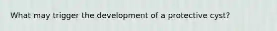 What may trigger the development of a protective cyst?