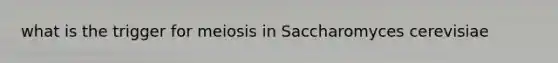 what is the trigger for meiosis in Saccharomyces cerevisiae