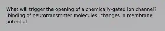 What will trigger the opening of a chemically-gated ion channel? -binding of neurotransmitter molecules -changes in membrane potential