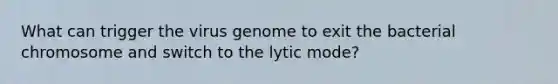 What can trigger the virus genome to exit the bacterial chromosome and switch to the lytic mode?