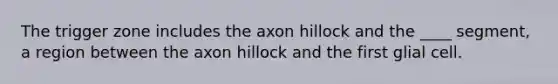 The trigger zone includes the axon hillock and the ____ segment, a region between the axon hillock and the first glial cell.