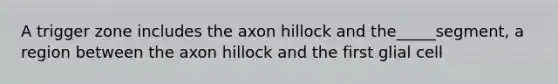 A trigger zone includes the axon hillock and the_____segment, a region between the axon hillock and the first glial cell