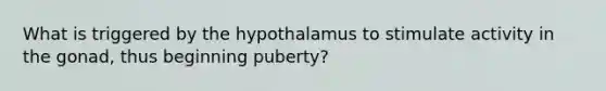 What is triggered by the hypothalamus to stimulate activity in the gonad, thus beginning puberty?