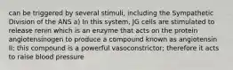 can be triggered by several stimuli, including the Sympathetic Division of the ANS a) In this system, JG cells are stimulated to release renin which is an enzyme that acts on the protein angiotensinogen to produce a compound known as angiotensin II; this compound is a powerful vasoconstrictor; therefore it acts to raise blood pressure