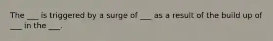 The ___ is triggered by a surge of ___ as a result of the build up of ___ in the ___.