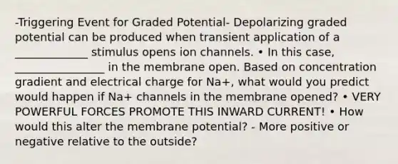 -Triggering Event for Graded Potential- Depolarizing graded potential can be produced when transient application of a _____________ stimulus opens ion channels. • In this case, ________________ in the membrane open. Based on concentration gradient and electrical charge for Na+, what would you predict would happen if Na+ channels in the membrane opened? • VERY POWERFUL FORCES PROMOTE THIS INWARD CURRENT! • How would this alter the membrane potential? - More positive or negative relative to the outside?