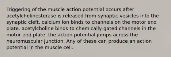 Triggering of the muscle action potential occurs after acetylcholinesterase is released from synaptic vesicles into the synaptic cleft. calcium ion binds to channels on the motor end plate. acetylcholine binds to chemically-gated channels in the motor end plate. the action potential jumps across the neuromuscular junction. Any of these can produce an action potential in the muscle cell.