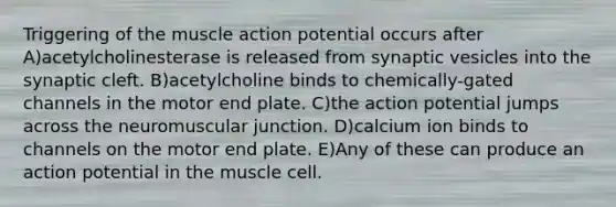 Triggering of the muscle action potential occurs after A)acetylcholinesterase is released from synaptic vesicles into the synaptic cleft. B)acetylcholine binds to chemically-gated channels in the motor end plate. C)the action potential jumps across the neuromuscular junction. D)calcium ion binds to channels on the motor end plate. E)Any of these can produce an action potential in the muscle cell.