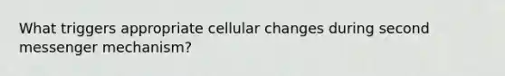 What triggers appropriate cellular changes during second messenger mechanism?