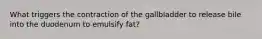 What triggers the contraction of the gallbladder to release bile into the duodenum to emulsify fat?