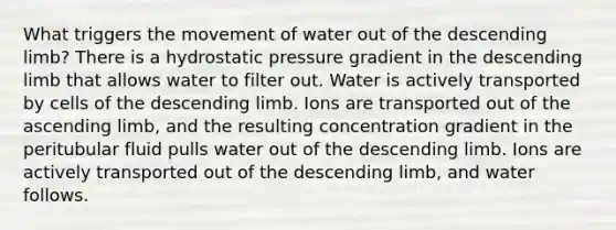 What triggers the movement of water out of the descending limb? There is a hydrostatic pressure gradient in the descending limb that allows water to filter out. Water is actively transported by cells of the descending limb. Ions are transported out of the ascending limb, and the resulting concentration gradient in the peritubular fluid pulls water out of the descending limb. Ions are actively transported out of the descending limb, and water follows.