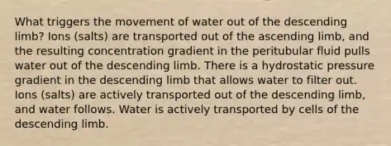 What triggers the movement of water out of the descending limb? Ions (salts) are transported out of the ascending limb, and the resulting concentration gradient in the peritubular fluid pulls water out of the descending limb. There is a hydrostatic pressure gradient in the descending limb that allows water to filter out. Ions (salts) are actively transported out of the descending limb, and water follows. Water is actively transported by cells of the descending limb.