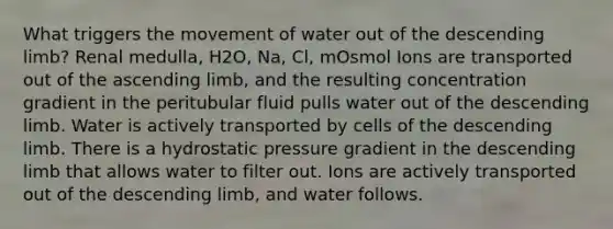 What triggers the movement of water out of the descending limb? Renal medulla, H2O, Na, Cl, mOsmol Ions are transported out of the ascending limb, and the resulting concentration gradient in the peritubular fluid pulls water out of the descending limb. Water is actively transported by cells of the descending limb. There is a hydrostatic pressure gradient in the descending limb that allows water to filter out. Ions are actively transported out of the descending limb, and water follows.