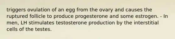 triggers ovulation of an egg from the ovary and causes the ruptured follicle to produce progesterone and some estrogen. - In men, LH stimulates testosterone production by the interstitial cells of the testes.