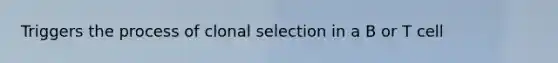 Triggers the process of clonal selection in a B or T cell