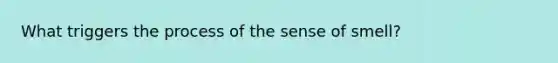 What triggers the process of the sense of smell?