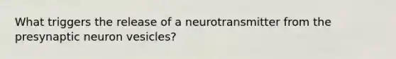 What triggers the release of a neurotransmitter from the presynaptic neuron vesicles?