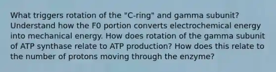 What triggers rotation of the "C-ring" and gamma subunit? Understand how the F0 portion converts electrochemical energy into mechanical energy. How does rotation of the gamma subunit of ATP synthase relate to ATP production? How does this relate to the number of protons moving through the enzyme?