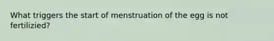 What triggers the start of menstruation of the egg is not fertilizied?