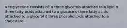 A triglyceride consists of: a three glycerols attached to a lipid b three fatty acids attached to a glucose c three fatty acids attached to a glycerol d three phospholipids attached to a cholesterol