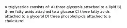 A triglyceride consists of: A) three glycerols attached to a lipid B) three fatty acids attached to a glucose C) three fatty acids attached to a glycerol D) three phospholipids attached to a cholesterol