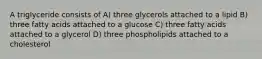 A triglyceride consists of A) three glycerols attached to a lipid B) three fatty acids attached to a glucose C) three fatty acids attached to a glycerol D) three phospholipids attached to a cholesterol