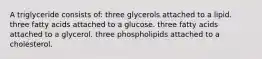 A triglyceride consists of: three glycerols attached to a lipid. three fatty acids attached to a glucose. three fatty acids attached to a glycerol. three phospholipids attached to a cholesterol.