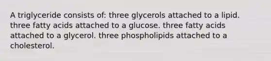 A triglyceride consists of: three glycerols attached to a lipid. three fatty acids attached to a glucose. three fatty acids attached to a glycerol. three phospholipids attached to a cholesterol.