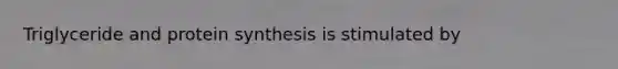 Triglyceride and protein synthesis is stimulated by