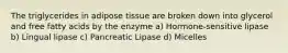 The triglycerides in adipose tissue are broken down into glycerol and free fatty acids by the enzyme a) Hormone-sensitive lipase b) Lingual lipase c) Pancreatic Lipase d) Micelles