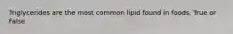 Triglycerides are the most common lipid found in foods. True or False