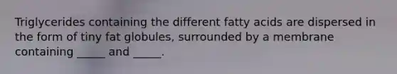 Triglycerides containing the different fatty acids are dispersed in the form of tiny fat globules, surrounded by a membrane containing _____ and _____.