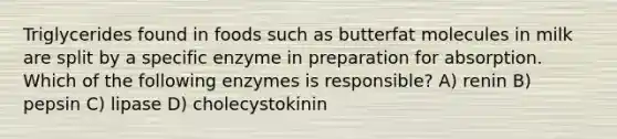 Triglycerides found in foods such as butterfat molecules in milk are split by a specific enzyme in preparation for absorption. Which of the following enzymes is responsible? A) renin B) pepsin C) lipase D) cholecystokinin