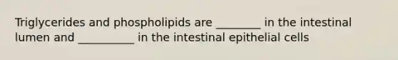 Triglycerides and phospholipids are ________ in the intestinal lumen and __________ in the intestinal epithelial cells