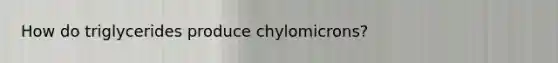 How do triglycerides produce chylomicrons?