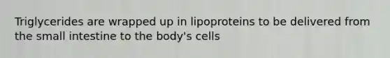 Triglycerides are wrapped up in lipoproteins to be delivered from the small intestine to the body's cells