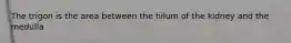 The trigon is the area between the hilum of the kidney and the medulla