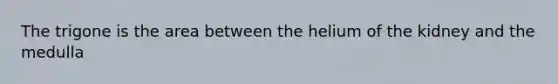 The trigone is the area between the helium of the kidney and the medulla