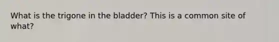 What is the trigone in the bladder? This is a common site of what?