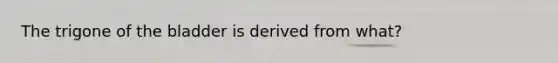 The trigone of the bladder is derived from what?