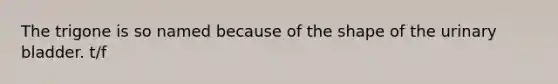 The trigone is so named because of the shape of the urinary bladder. t/f