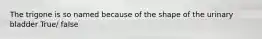 The trigone is so named because of the shape of the urinary bladder True/ false