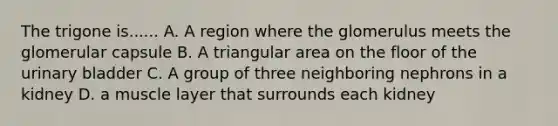 The trigone is...... A. A region where the glomerulus meets the glomerular capsule B. A triangular area on the floor of the urinary bladder C. A group of three neighboring nephrons in a kidney D. a muscle layer that surrounds each kidney