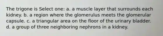 The trigone is Select one: a. a muscle layer that surrounds each kidney. b. a region where the glomerulus meets the glomerular capsule. c. a triangular area on the floor of the <a href='https://www.questionai.com/knowledge/kb9SdfFdD9-urinary-bladder' class='anchor-knowledge'>urinary bladder</a>. d. a group of three neighboring nephrons in a kidney.